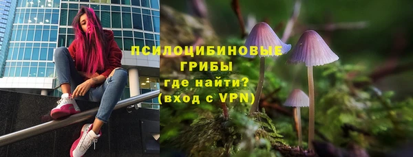 шишки Зеленодольск