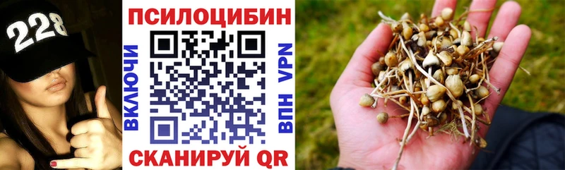 Псилоцибиновые грибы Cubensis  Купить где  Бахчисарай 