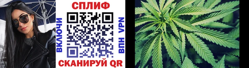 Каннабис планчик  Купить где  Бахчисарай 